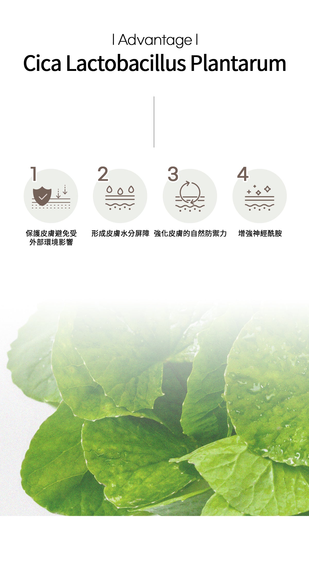 Dr.Bio | ECO多合一全身清潔露 500ml (適用於新生兒至孕婦 \ 洗髮沐浴三合一 \ 弱酸性 \ 純素認證)