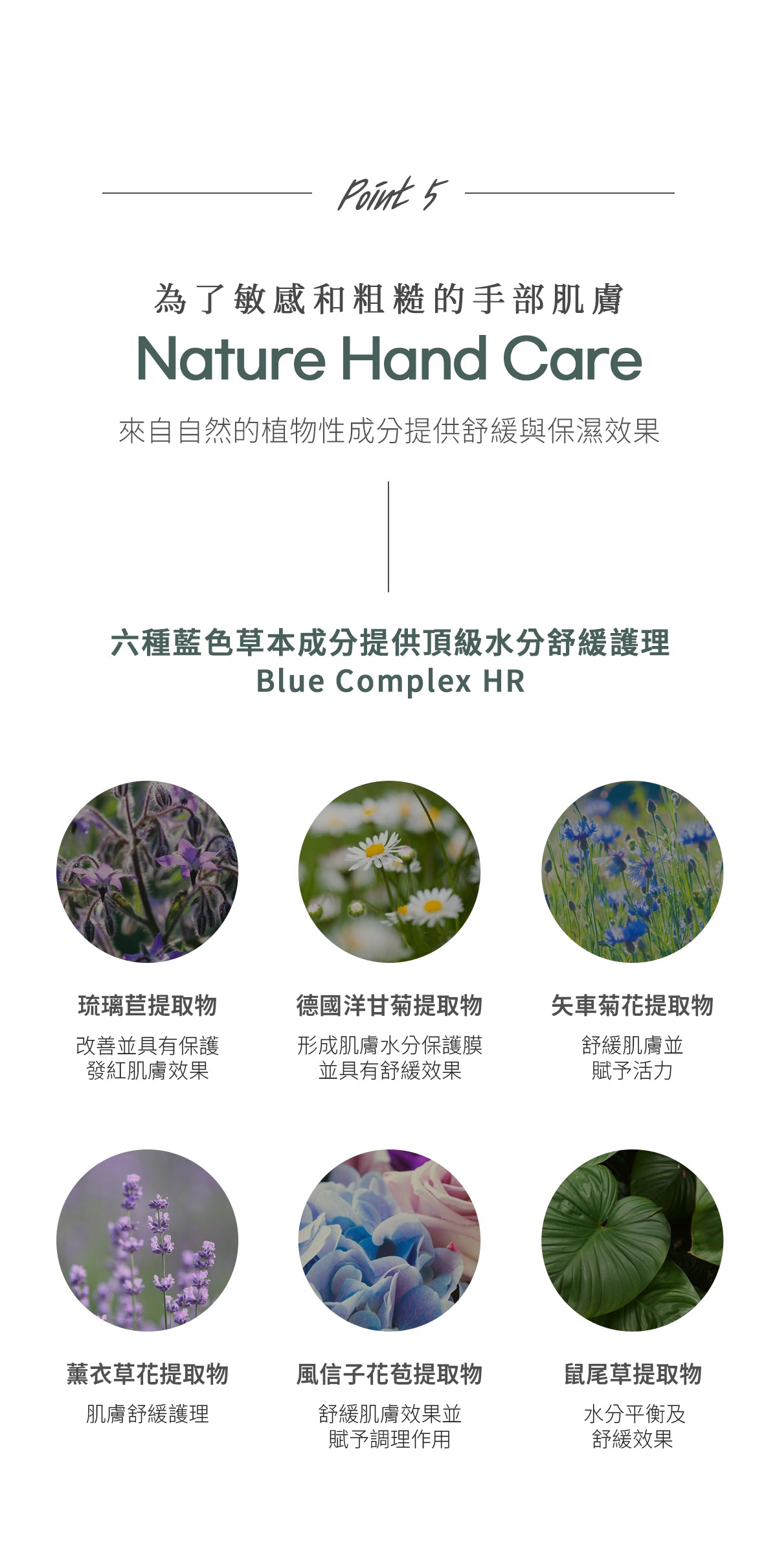 Dr.Bio | 益生菌泡沫洗手乳 500ml(適用於兒童至孕婦 \ 弱酸性 \ 高效起泡慕斯 \ 手部清潔)