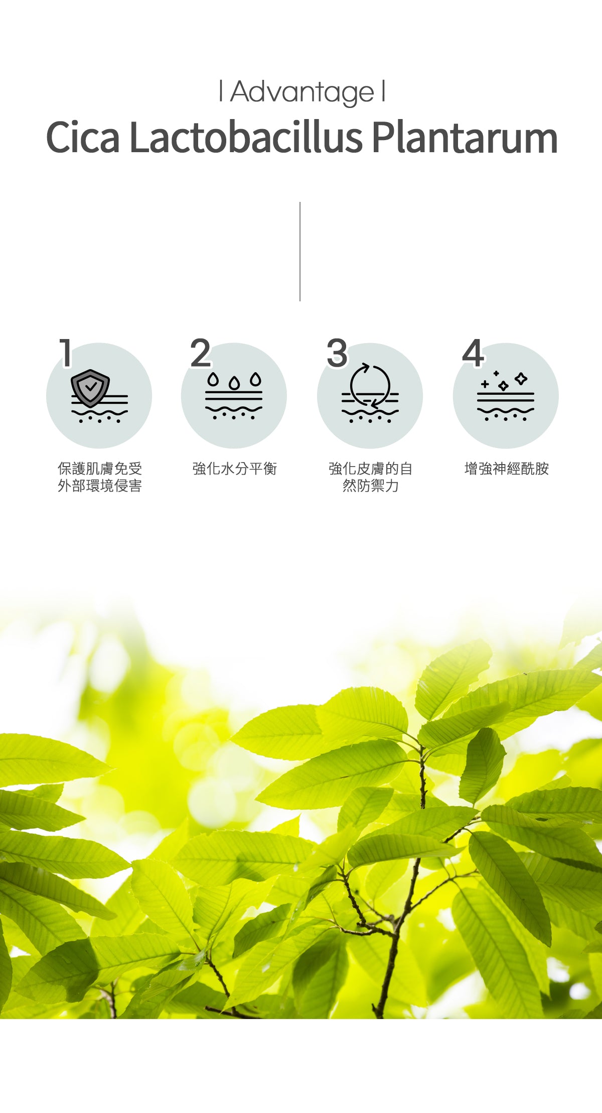 Dr.Bio | 益生菌泡沫洗手乳 500ml(適用於兒童至孕婦 \ 弱酸性  \ 高效起泡慕斯 \ 手部清潔)