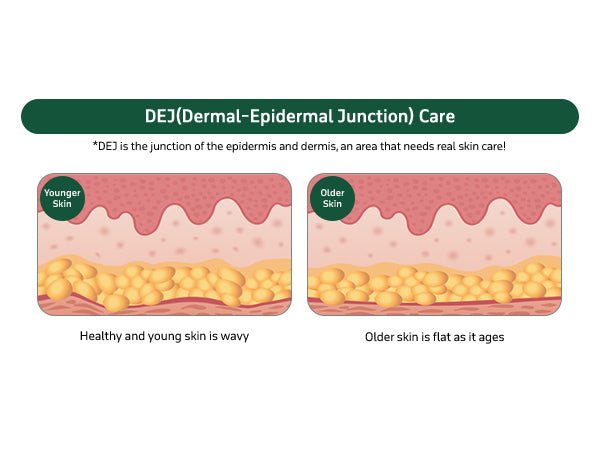 Dr.Bio | 綠米生物群美白乳霜 50ml