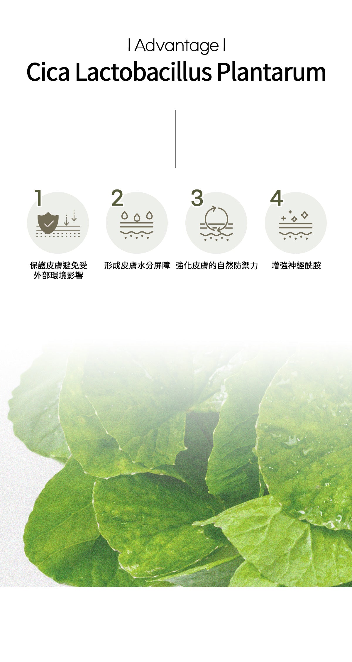 Dr.Bio | ECO保濕身體乳 500ml(適用於新生兒至孕婦 \ 臉部及身體 \ 敏感肌膚)